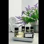 فيلة Anemolia
